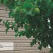 Сайдинг Ю-Пласт TIMBERBLOCK Пихта (Тимберблок) Cахалинская купить в Лодейном Поле