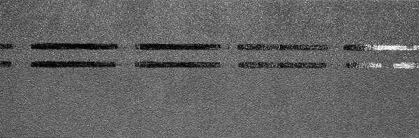 Коньково-карнизная черепица Docke Premium, черника купить в Лодейном Поле